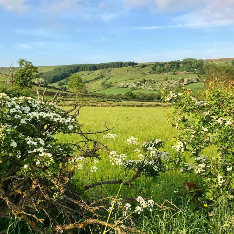 Climbers Cottage Rosedale Abbey Экстерьер фото